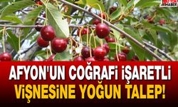 Afyon'un Coğrafi İşaretli Vişnesine Yoğun Talep!