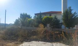 Afyon'da yangın: Tomalar müdahale etti