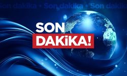 Son Dakika | Alihan Kuriş soruşturmasında çarpıcı detay