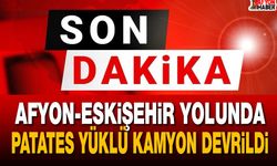 Afyon-Eskişehir yolunda patates yüklü kamyon devrildi