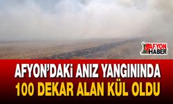 Afyon’daki anız yangınında 100 dekar alan kül oldu