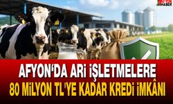 Afyon’da ari işletmelere 80 milyon TL’ye kadar kredi imkânı