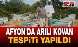 Afyon'da arılı kovan tespiti yapıldı