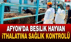 Afyon’da besilik hayvan ithalatına sağlık kontrolü