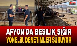 Afyon’da besilik sığır yönelik denetimler sürüyor