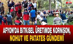 Afyon’da bitkisel üretimde kornişon, nohut ve patates gündemi
