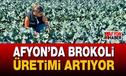 Afyon’da brokoli tarlaları denetlendi