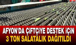 Afyon'da çiftçiye destek için 3 ton salatalık dağıtıldı