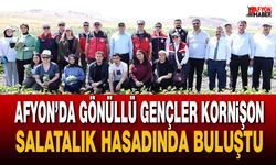 Afyon’da gönüllü gençler kornişon salatalık hasadında buluştu