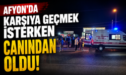 Karşıya geçmek isterken canından oldu
