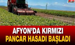 Afyon’da kırmızı pancar hasadı başladı