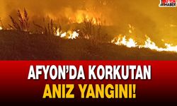 Afyon’da korkutan anız yangını!
