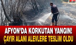 Afyon’da korkutan yangın! Çayır alanı alevlere teslim oldu