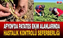 Afyon’da patates ekim alanlarında hastalık kontrolü seferberliği