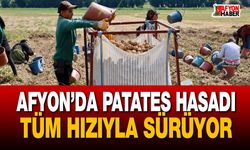 Afyon’da patates hasadı tüm hızıyla sürüyor