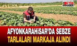 Afyonkarahisar’da sebze tarlaları markaja alındı