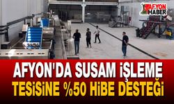 Afyon'da susam işleme tesisine %50 hibe desteği