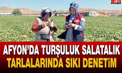 Afyon’da turşuluk salatalık tarlalarında sıkı denetim