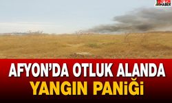 Afyon’da otluk alanda yangın paniği