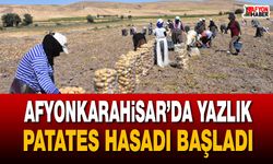 Afyonkarahisar’da yazlık patates hasadı başladı