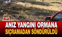Anız yangını ormana sıçramadan söndürüldü