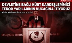 Devletine bağlı Kürt kardeşlerimizi terör yapılarının kucağına itiyoruz