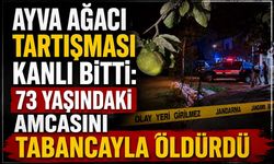 Ayva Ağacı Tartışması Kanlı Bitti! 73 Yaşındaki Amcasını Tabancayla Öldürdü