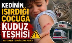 Kedinin ısırdığı çocuğa kuduz teşhisi