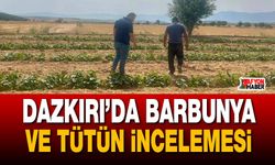 Dazkırı’da barbunya ve tütün incelemesi