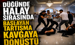 Düğünde halay sırasında başlayan tartışma kavgaya dönüştü