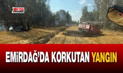 Emirdağ’da korkutan yangın