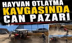Hayvan otlatma kavgasında can pazarı