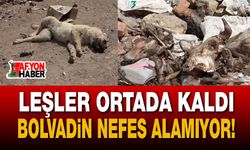 Leşler Ortada Kaldı, Bolvadin Nefes Alamıyor!