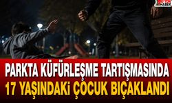 Parkta Küfürleşme tartışmasında 17 yaşındaki çocuk bıçaklandı