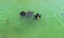 Baba oğul akıntıya kapılarak can verdi