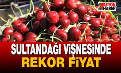 Sultandağı vişnesinde rekor fiyat