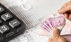 Türkiye'nin vergi rekortmenleri açıklandı