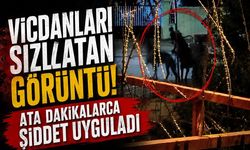 Vicdanları sızlatan görüntü! Ata dakikalarca şiddet uyguladı