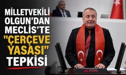 Milletvekili Olgun’dan Meclis’te “Çerçeve Yasa” Tepkisi