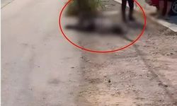 Yasak aşk iddiası kanlı bitti! Önce eniştesini, sonra eşini öldürdü