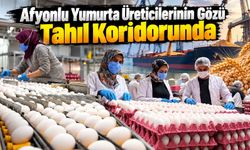 Afyonlu yumurta üreticilerinin gözü tahıl koridorunda