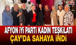 Afyon İYİ Parti Kadın Teşkilatı Çay’da sahaya indi