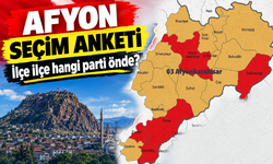 Afyon seçim anketi: İlçelerde hangi parti önde?