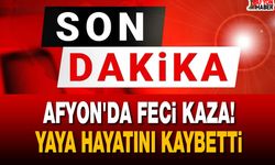 Afyon'da feci kaza! Otomobilin çarptığı yaya hayatını kaybetti