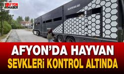 Afyon’da hayvan sevkleri kontrol altında