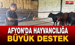 Afyon’da hayvancılığa büyük destek