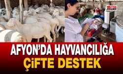 Afyon’da hayvancılığa çifte destek