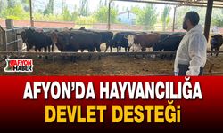 Afyon’da hayvancılığa devlet desteği