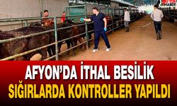Afyon’da ithal besilik sığırlarda kontroller yapıldı