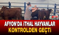 Afyon’da ithal hayvanlar kontrolden geçti